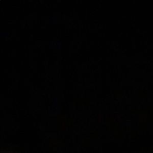 Meet your Posher, Rogerson